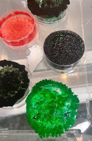 close up of colorful crystals starting to grow in a plastic tray